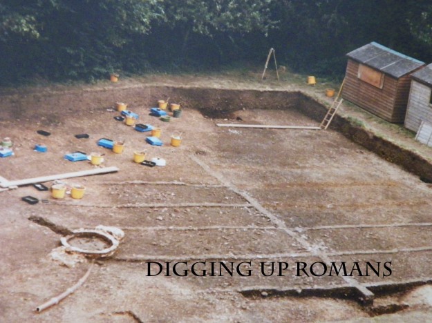 Digging Up Romans Story